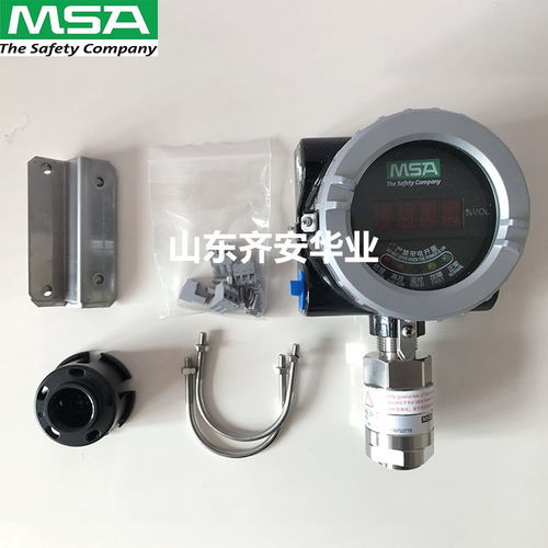 MSA梅思安DF 8500可燃?xì)怏w探測器 甲烷檢測報(bào)警器的專業(yè)選擇